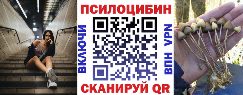купить наркотик Прокопьевск Псилоцибиновые грибы прущие грибы